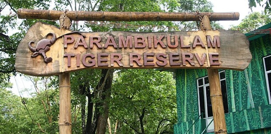 Top Slip – Parambikulam Tiger Reserve Top Slip – Parambikulam Tiger Reserve