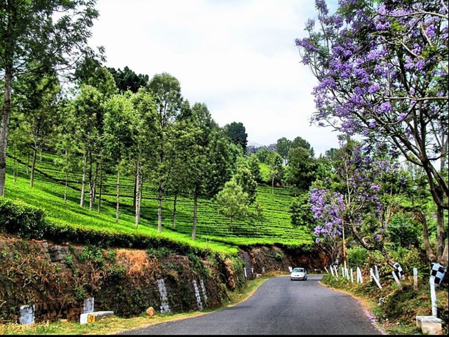 Coonoor Coonoor