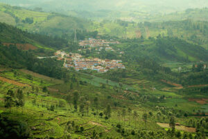 Kotagiri: A Hidden Gem in the Nilgiri Hills