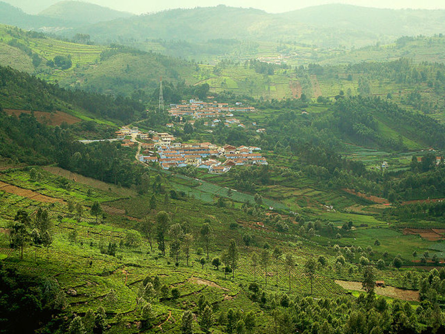 Kotagiri: A Hidden Gem in the Nilgiri Hills Kotagiri: A Hidden Gem in the Nilgiri Hills