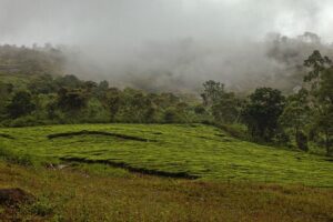 Meghamalai – Theni