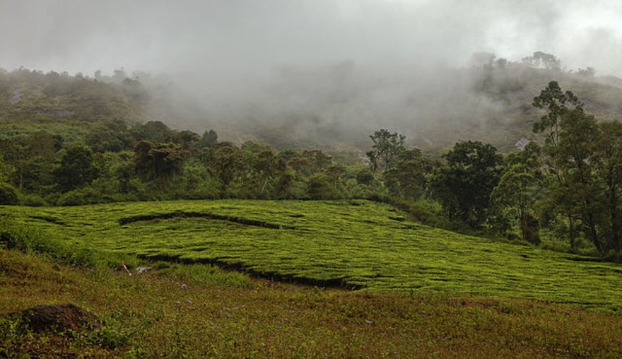 Meghamalai – Theni