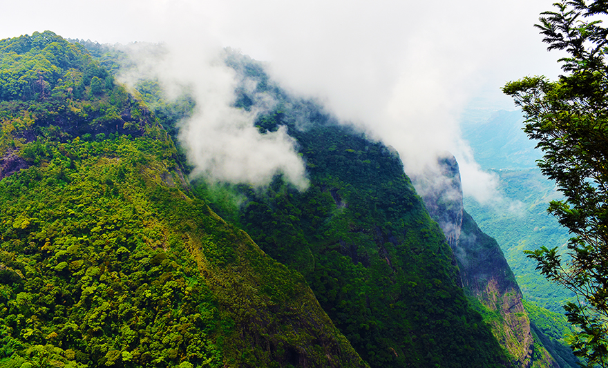 Explore Kodaikanal: Your Perfect Getaway