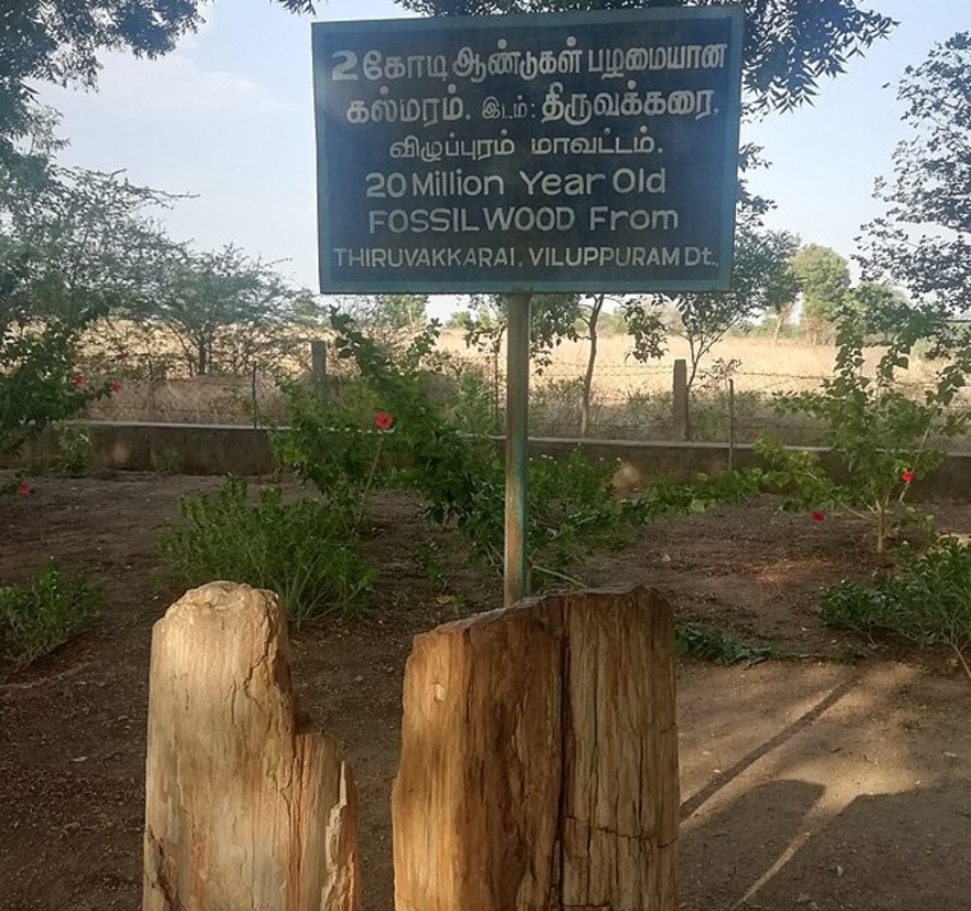 National Fossil Wood Park, Tiruvakkarai National Fossil Wood Park, Tiruvakkarai