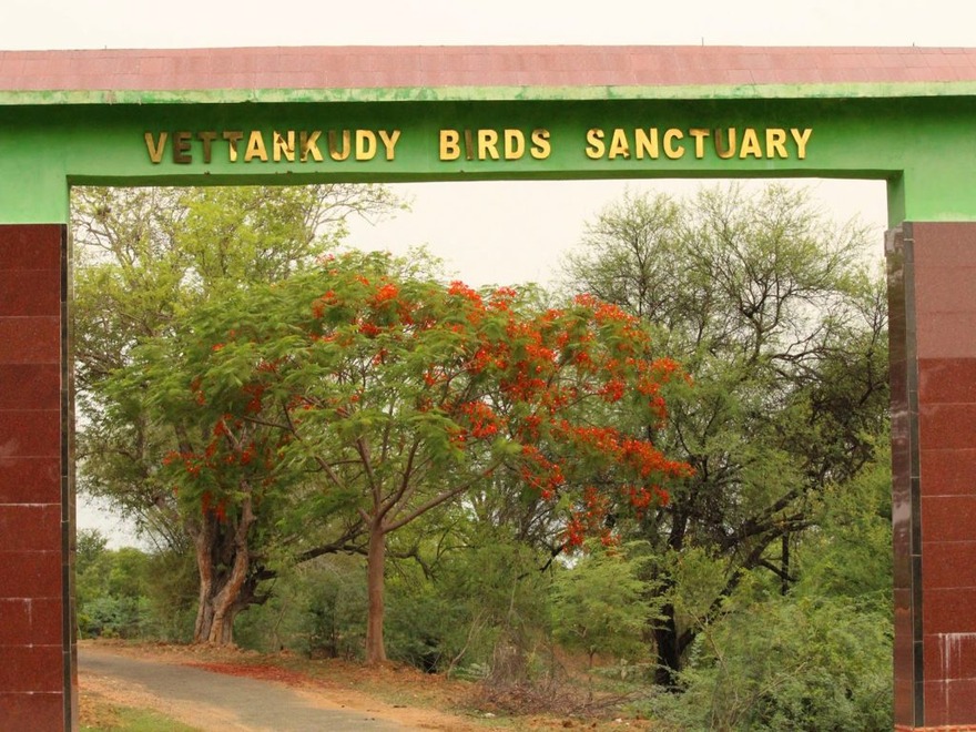Vettangudi Bird Sanctuary – Sivaganga