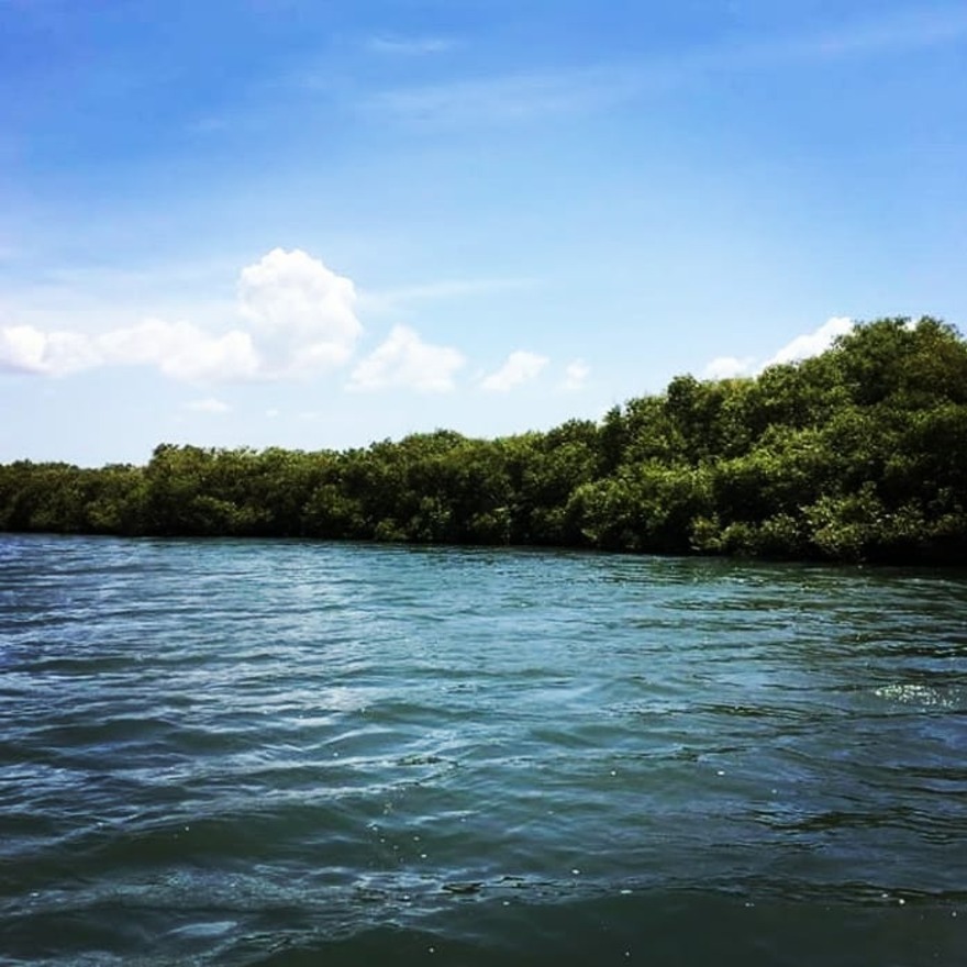 Karangadu Mangrove Forest and boating experience