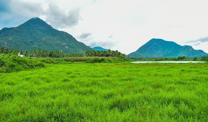 Tamilnadu Nature